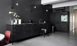 Black wall in the kitchen interior photo