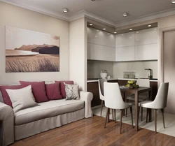 Living room kitchen design with sofa 14 sq.m.