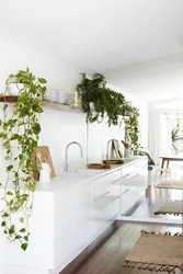 Kitchen modern design and flowers