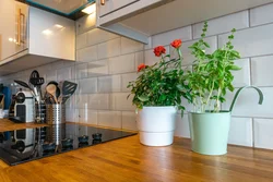 Kitchen modern design and flowers