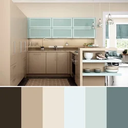 Сочетание цветов пола и стен в интерьере кухни