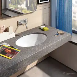 Modern bathroom designs countertop sink