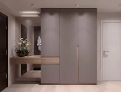 Gray wardrobe in the hallway design