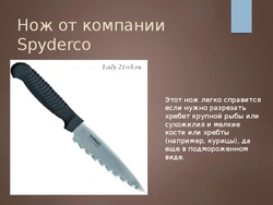 Виды Ножей На Кухне Фото