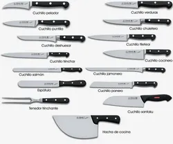 Types Of Knives In The Kitchen Photo