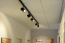 Трековый светильник на натяжной потолок в прихожей фото