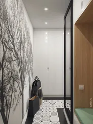 Bir xonali kvartira fotosuratida koridor dizayni