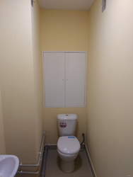 Bir mənzildə tualetin rənglənməsi üçün dizayn