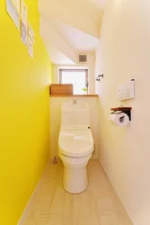 Design for painting a toilet in an apartment