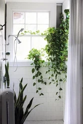 Interior With Plants In The Bathroom