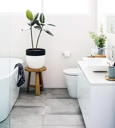 Interior with plants in the bathroom
