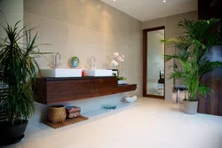 Interior with plants in the bathroom