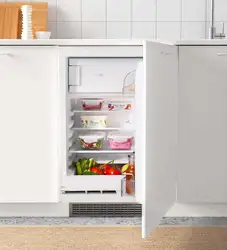 Freezer In The Kitchen Interior