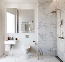 Bathroom Design With Shower And Toilet In Marble