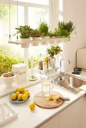 Decorative decorations in the kitchen interior