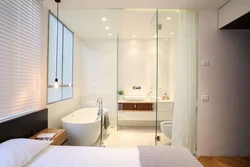 Ванная комната с стеклянной перегородкой фото