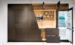 Hidden kitchen design photo