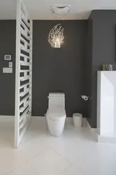 Перегородка ванны от туалета фото