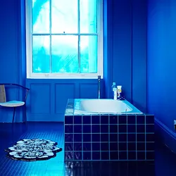 Blue Wall In The Bathroom Interior