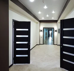 Kitchen interior with dark doors