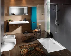 Дизайн проект ванной комнаты с душевой и ванной фото