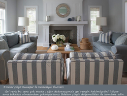 Color Combination In The Living Room Interior Photo Gray