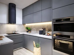 Gray kitchen in small interior