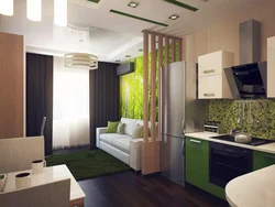 Дизайн гостиной совмещенный с кухней спальней
