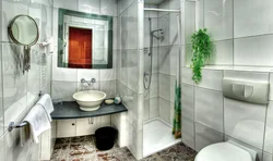 Bath renovation design with shower