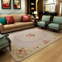 Carpets In A Small Living Room Photo