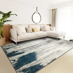 Carpets In A Small Living Room Photo