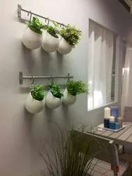 Flower pots in the kitchen photo