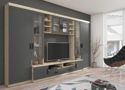 Modern Living Room With Wardrobe In The Interior