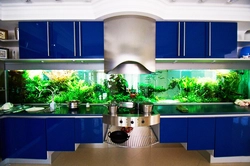 Oshxonadagi akvarium fotosurati dizayni