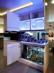 Aquarium In The Kitchen Photo Design
