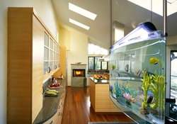 Aquarium in the kitchen photo design