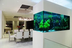 Ас үйдегі аквариум фото дизайны