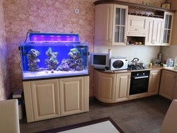 Aquarium in the kitchen photo design