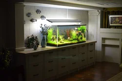 Oshxonadagi akvarium fotosurati dizayni
