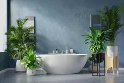 Bathroom tiles 2023 trends photos