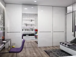 Шкафы дизайн в однокомнатной квартире фото