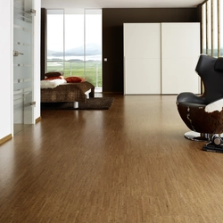 Types Of Flooring In An Apartment Photo