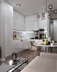 Kitchen Living Room 24 Sq M Design And Layout