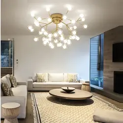 Chandeliers In The Living Room Modern Photos Beautiful