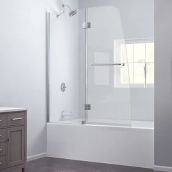 Bathtub with glass curtain photo