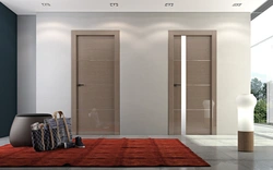 Interior doors in the interior of an apartment 2023