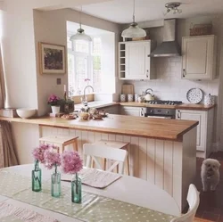 Beautiful cozy kitchen photos in the apartment