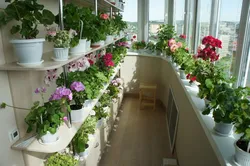 Loggia interior design with flowers