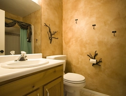 Bathroom wall design