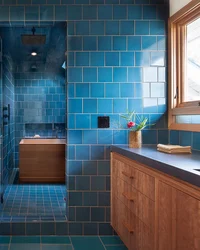 What Color Goes With Blue In The Bathroom Interior